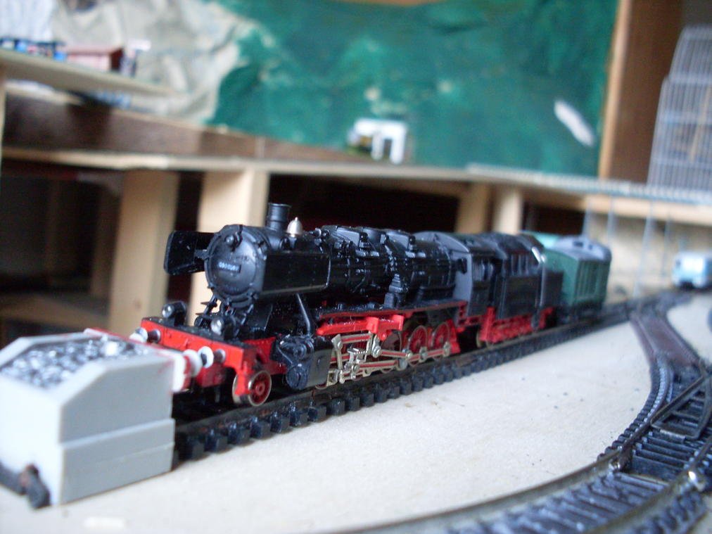 SDC11194.jpg