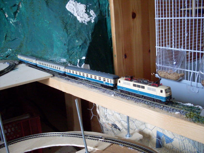 SDC11184.jpg