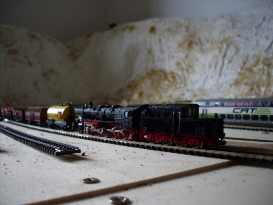 SDC11185.jpg