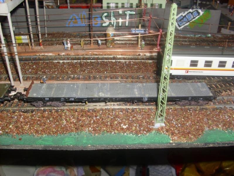 DSCI0111.jpg