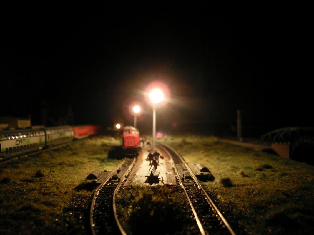 SDC11407.jpg