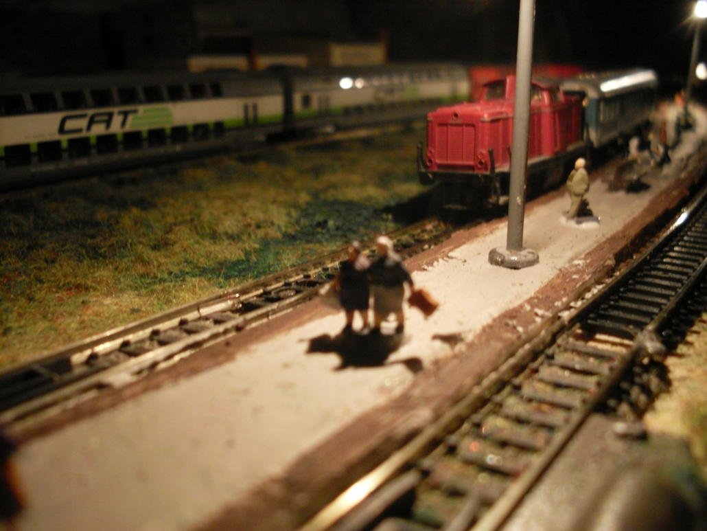SDC11398.jpg