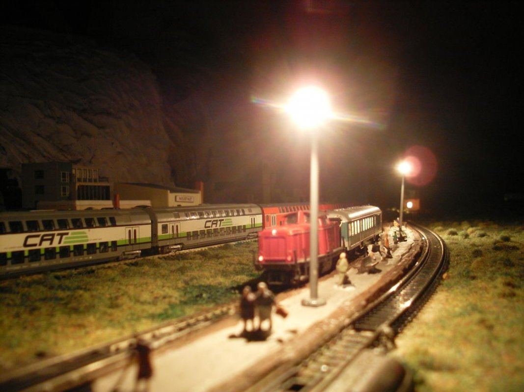 SDC11388.jpg