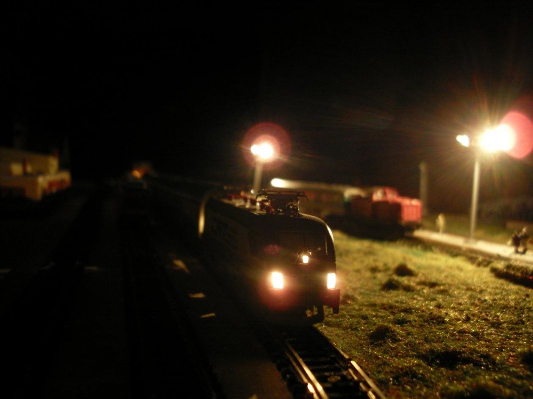 SDC11392.jpg