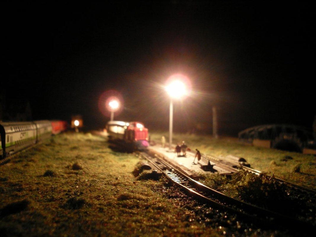 SDC11391.jpg