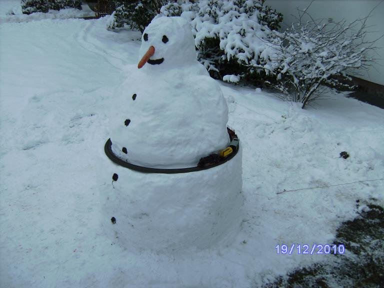BILD3338.JPG BILD3338.JPG