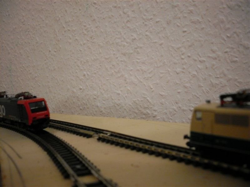 SDC10084.jpg