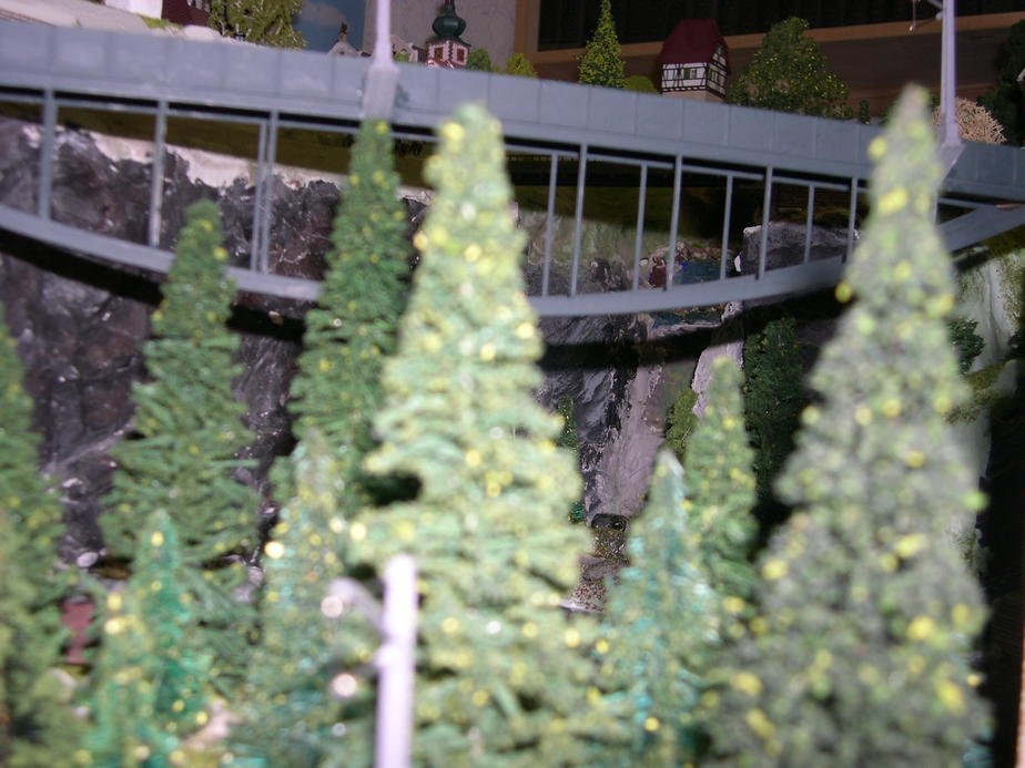 DSCN4925.jpg