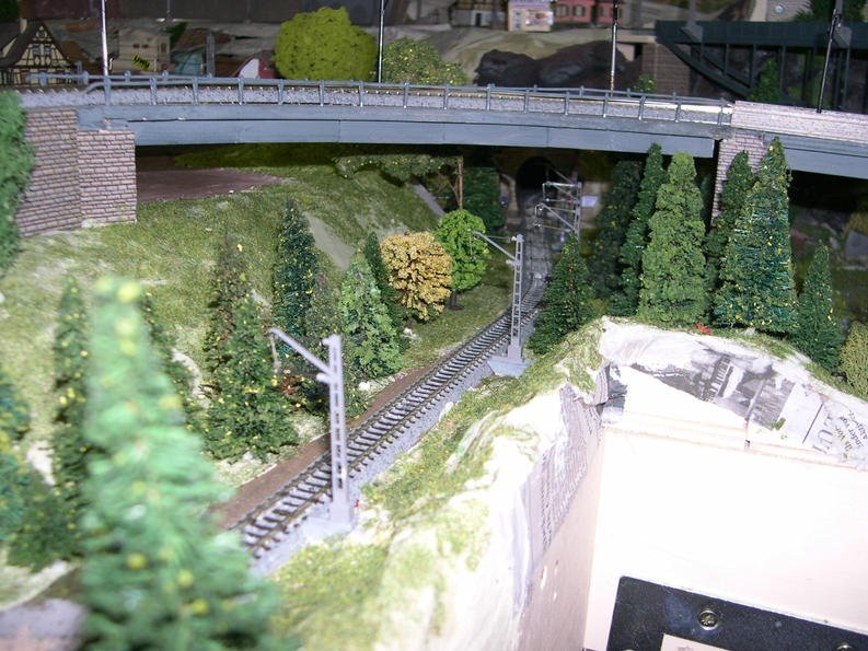 DSCN4938.jpg