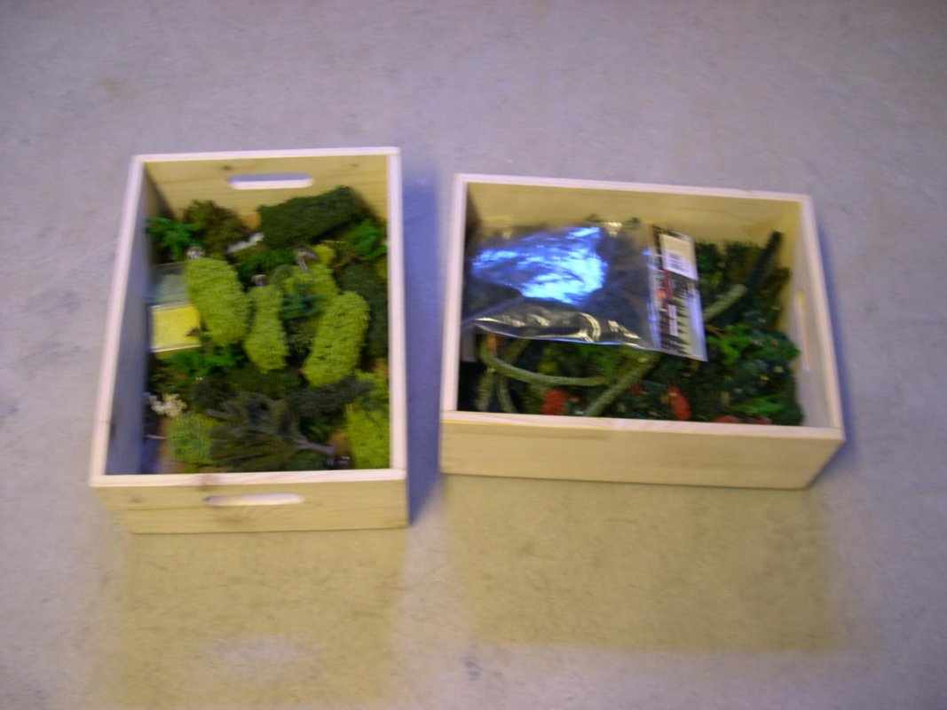 DSCN5335.jpg