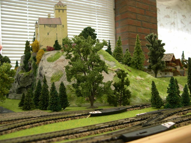 DSCN5554.jpg