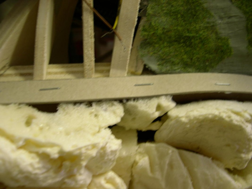 DSCN5638.jpg