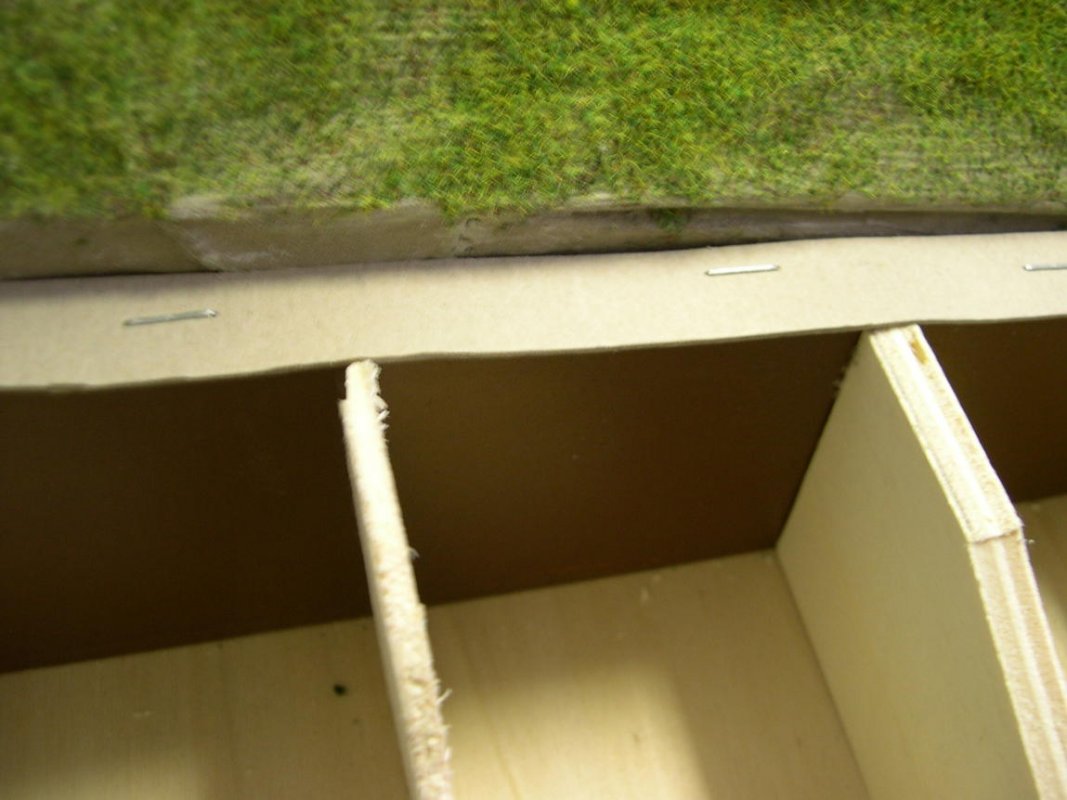 DSCN5639.jpg