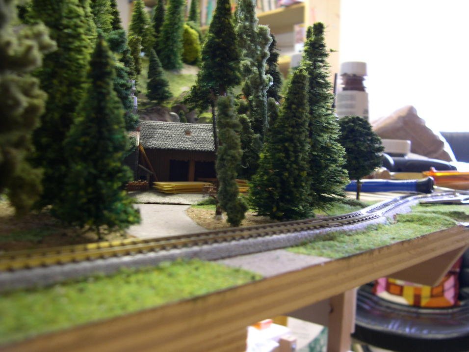 DSCN5675.jpg