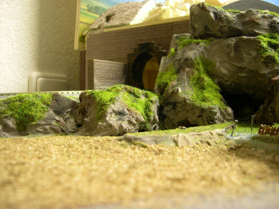 DSCN5666.jpg