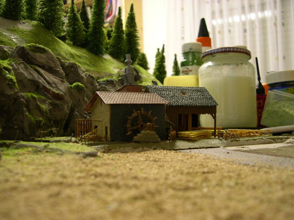 DSCN5665.jpg