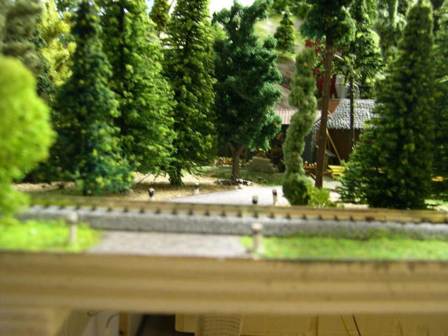 DSCN5684.jpg