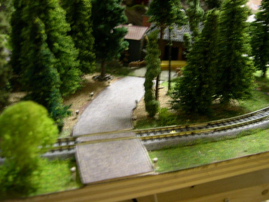DSCN5699.jpg