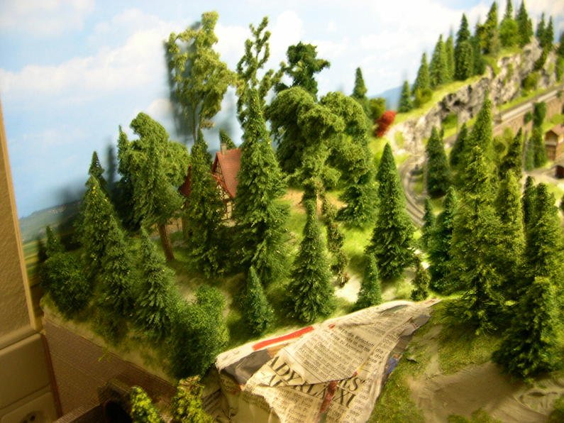 DSCN5700.jpg