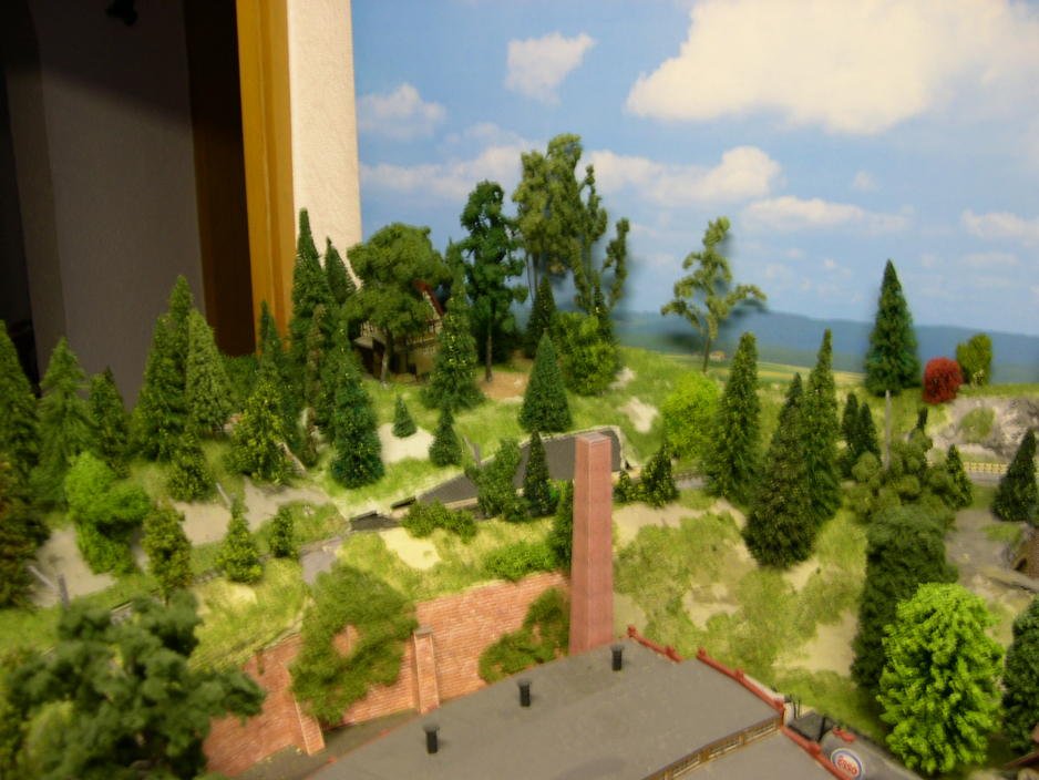 DSCN5701.jpg