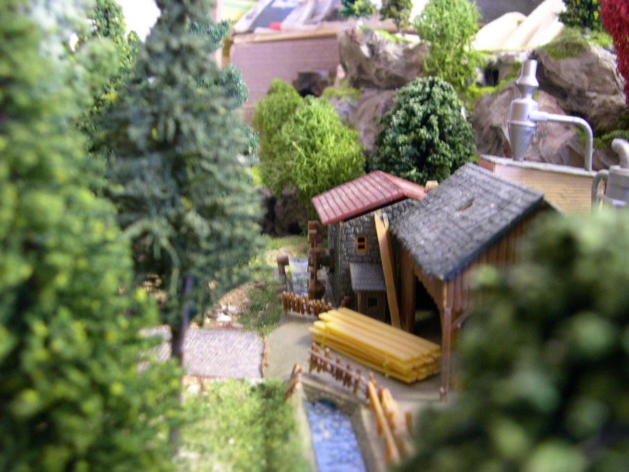 DSCN5674.jpg