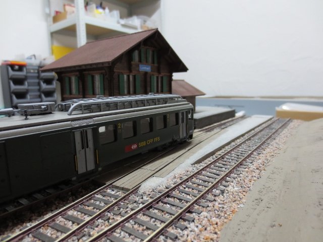 IMG_1019 (640x480).jpg