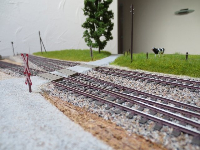IMG_1065 (640x480).jpg