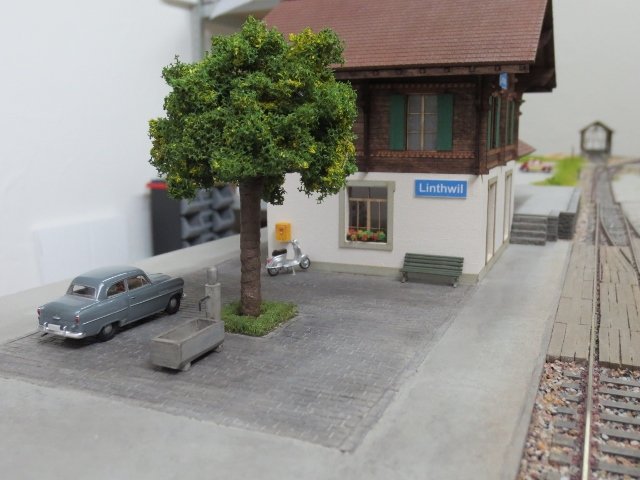 IMG_1195 (640x480).jpg