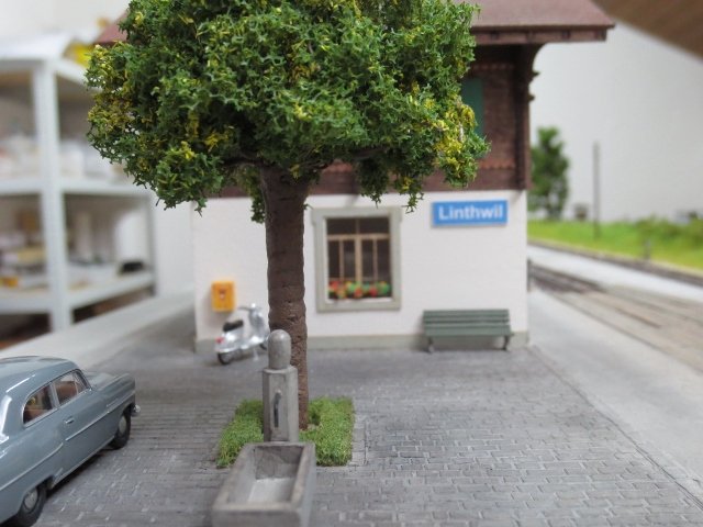 IMG_1200 (640x480).jpg