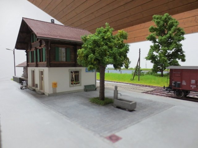 IMG_1361 (640x480).jpg