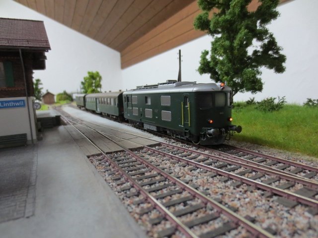 IMG_1574 (640x480).jpg IMG_1574 (640x480).jpg