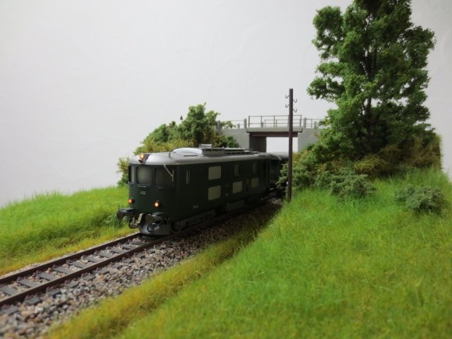 IMG_1595 (640x480).jpg IMG_1595 (640x480).jpg