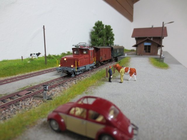 IMG_1745 (640x480).jpg