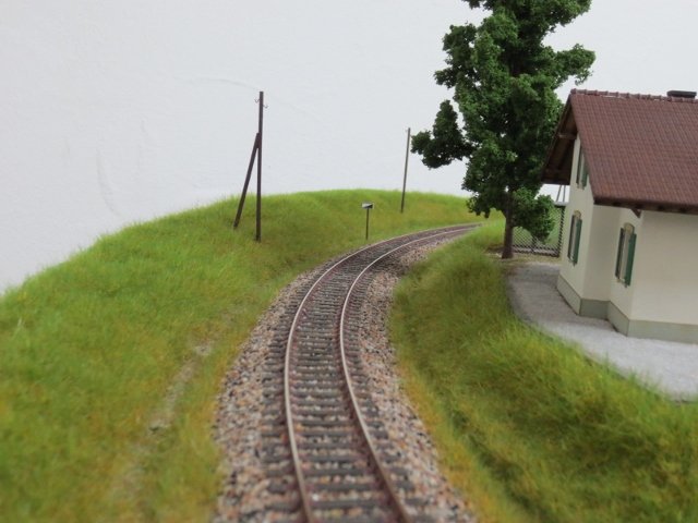 IMG_1901 (640x480).jpg