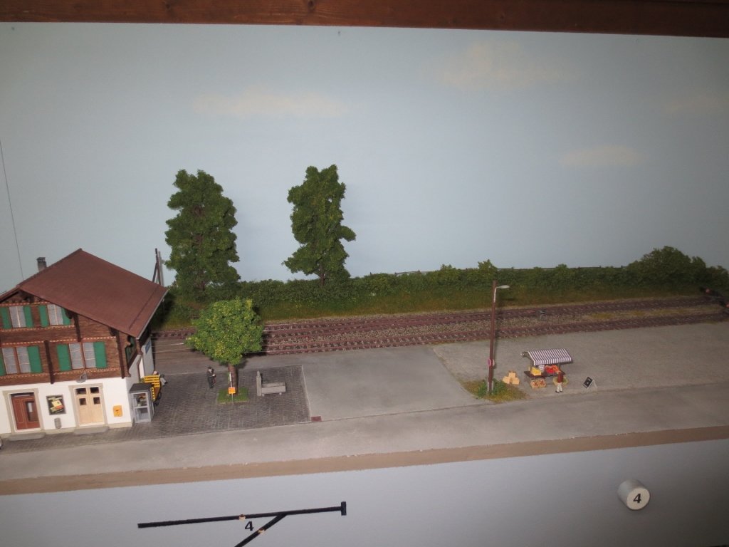 IMG_3170 (1024x768).jpg