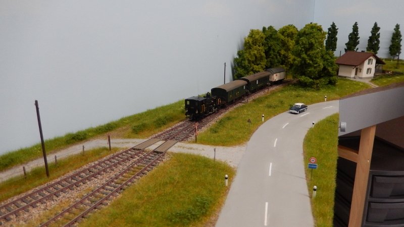 DSCN0230 (800x450).jpg