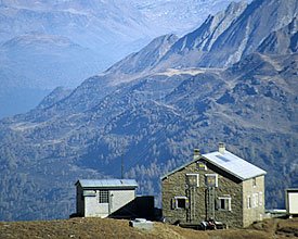 WL_06_08_a.jpg