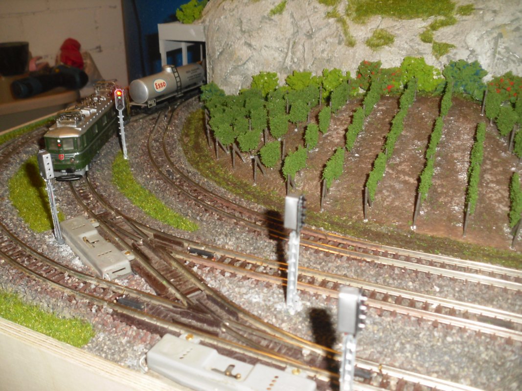 Bahnhofeinfahrt mit Weinberg.JPG