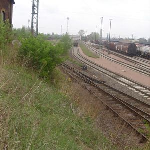 dsci0034 731399