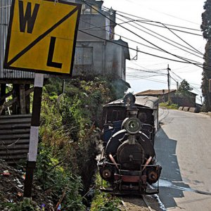 Indien DHR Whistle Levelcrossing