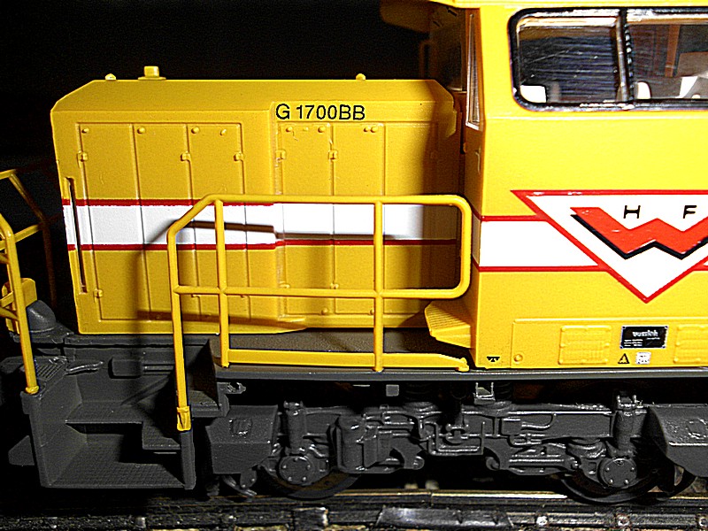 DSCI0223.jpg