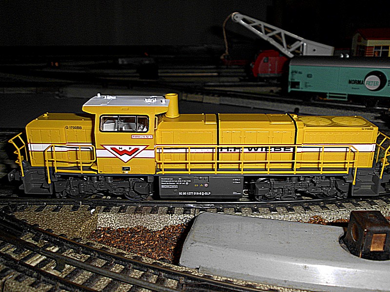 DSCI0222.jpg