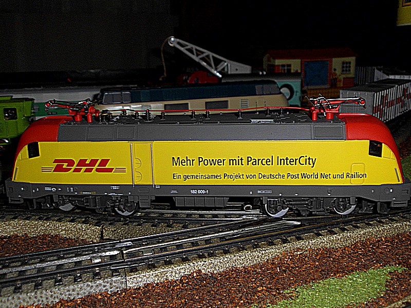 DSCI0248.jpg